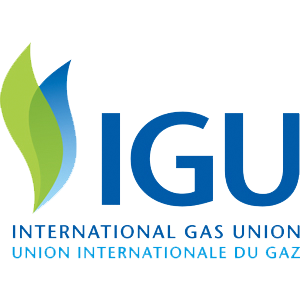 Enlit Europe 2025 partner IGU logo
