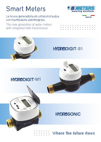 Smart Meters 2025