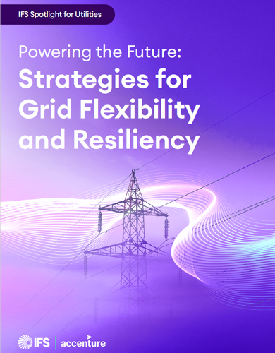 Powering the Future: Strategies for Grid Flexibility and Resiliency