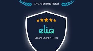 Eliq Named a Pacesetter in LCP Delta’s 2025 Energy Transition Report