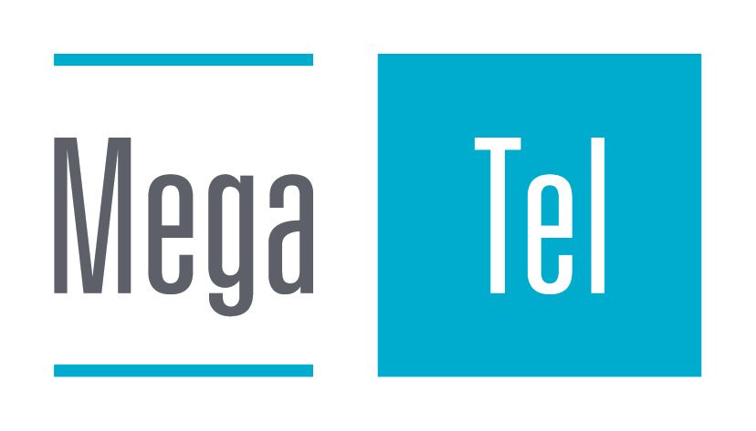 MEGA M
