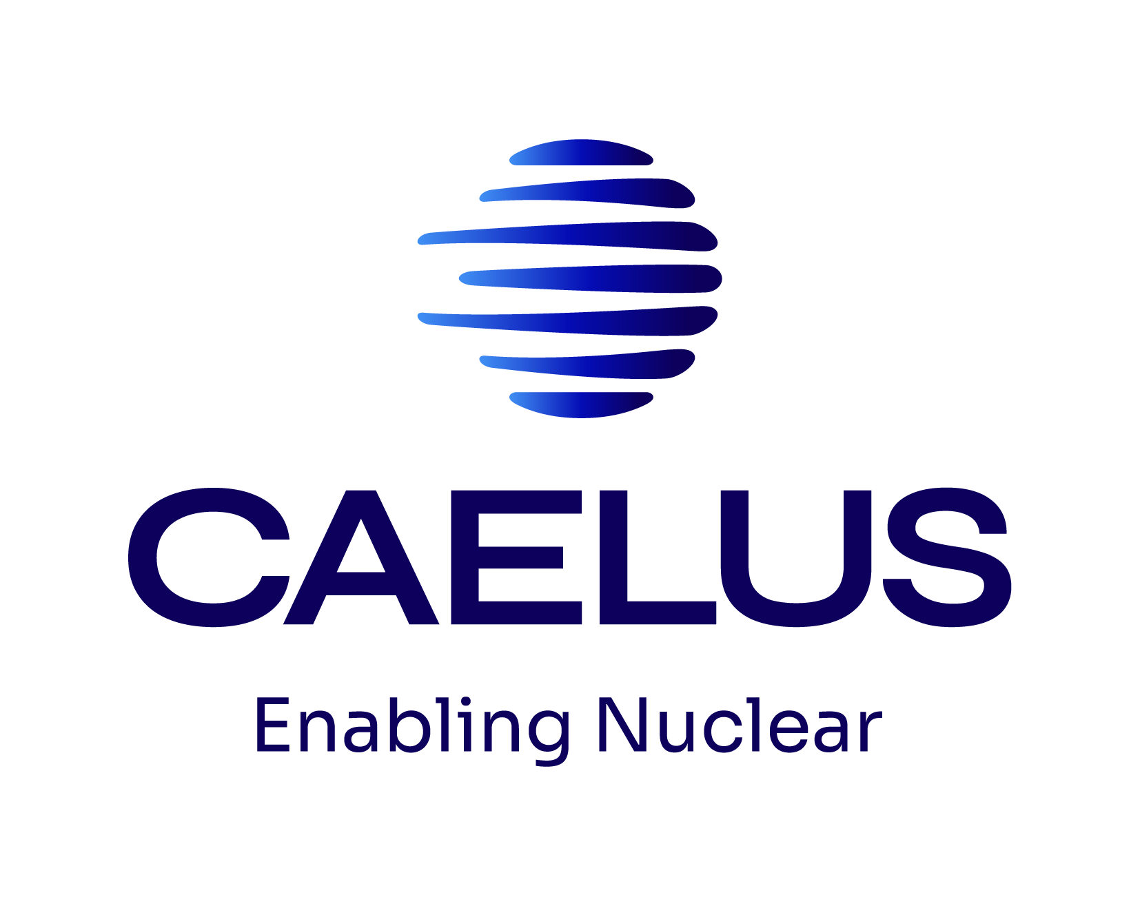 CAELUS S.R.L.