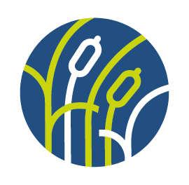 Roseau Technologies