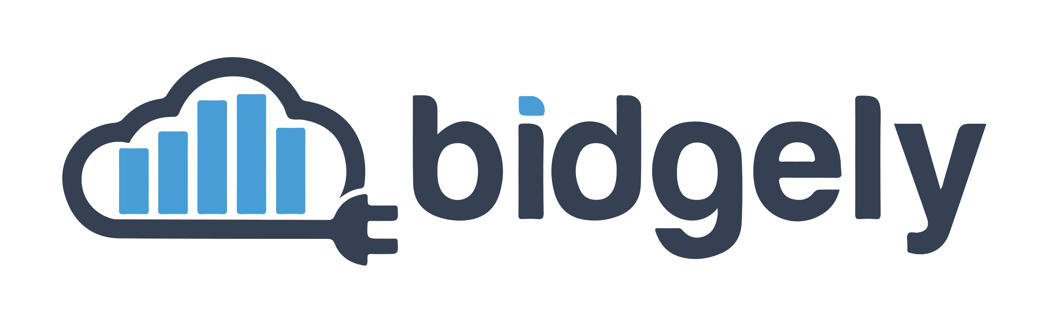 Bidgely Inc