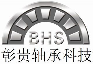ZHEJIANG BHS JOURNAL BEARING CO., LTD