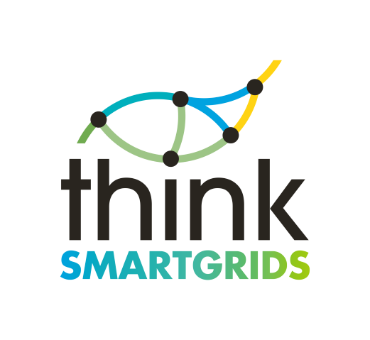 Think Smartgrids