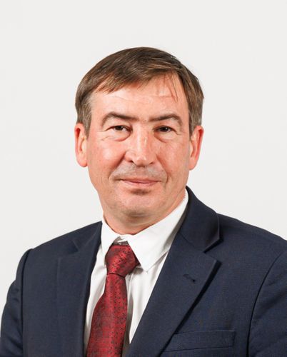 Sergiu Lica