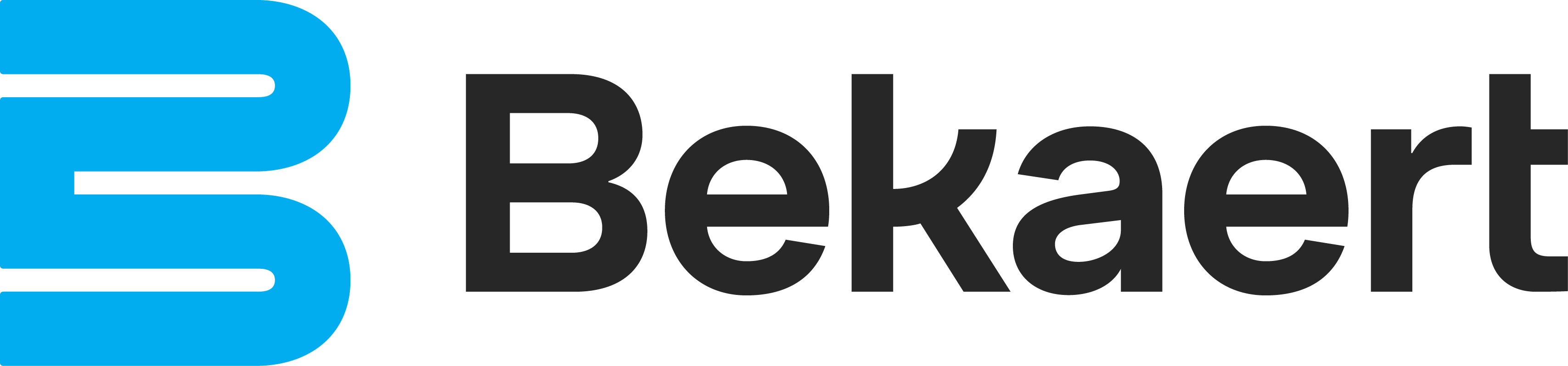 Company logo image for Reinout Goudeseune