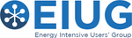Energy Intensive User's Group