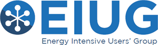 Energy Intensive User's Group