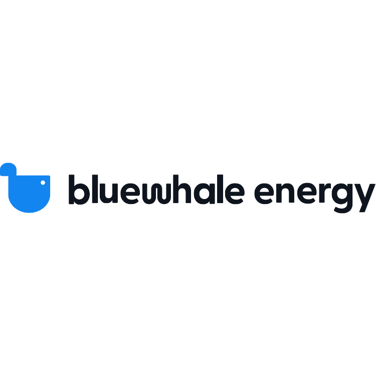 Blue Whale Energy