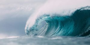 Wave Claims: AI delivered, the future of claims management today