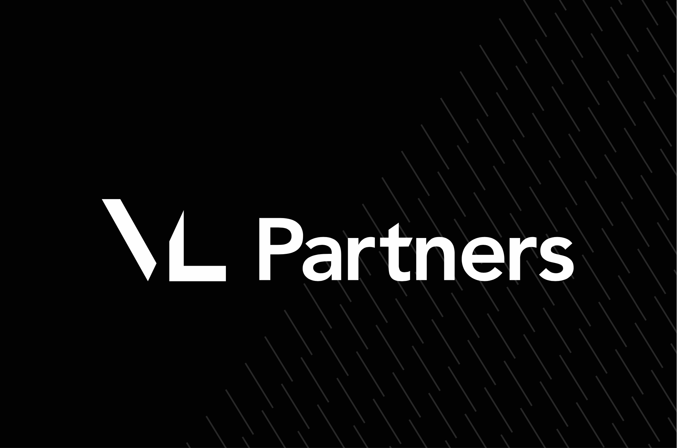 VL Partners