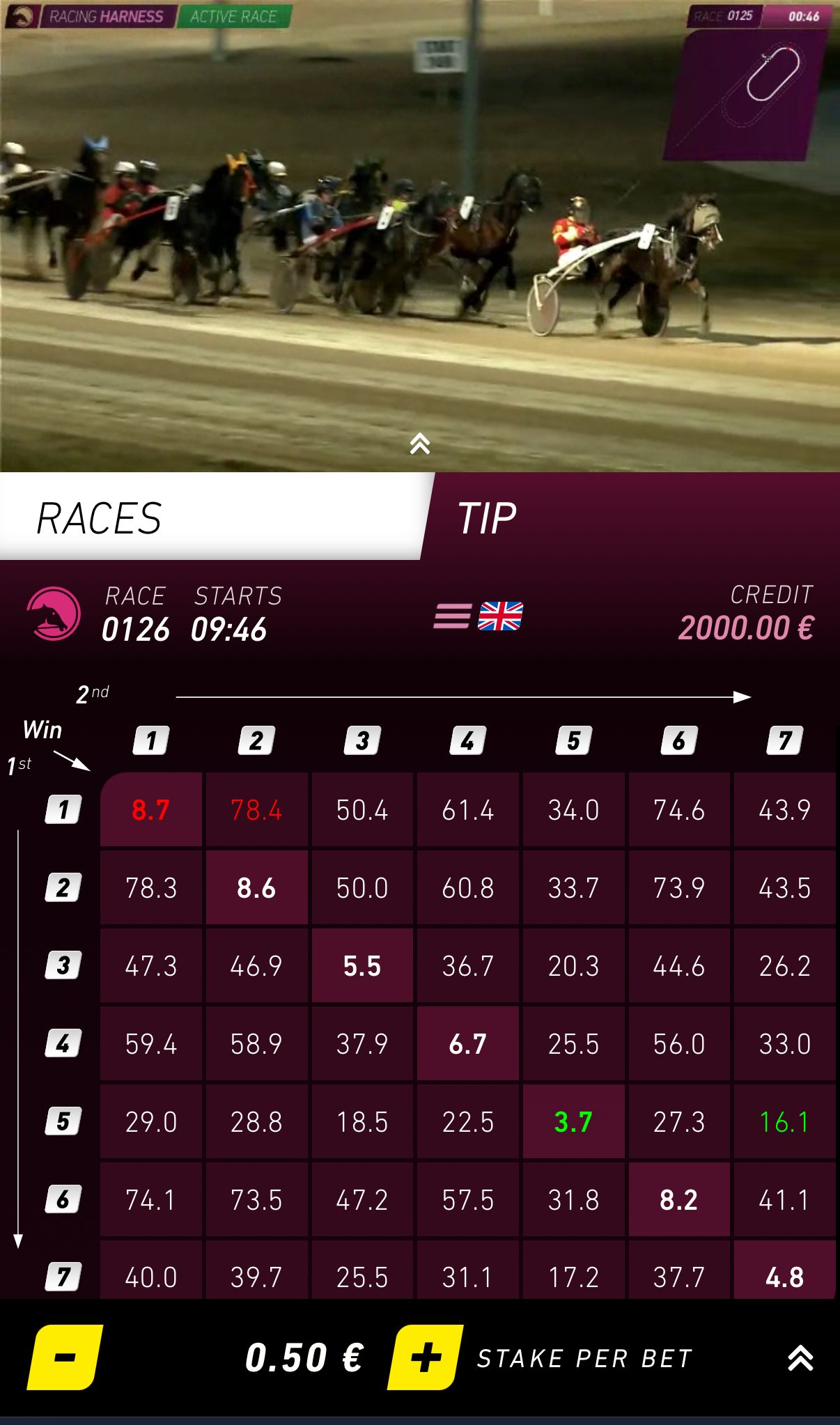 RacingHarness