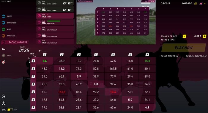 RacingHarness