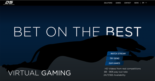 DS Virtual Gaming