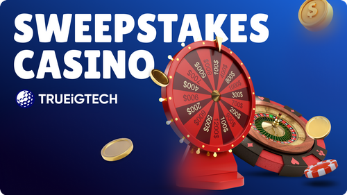 Sweepstakes Casino Software Development