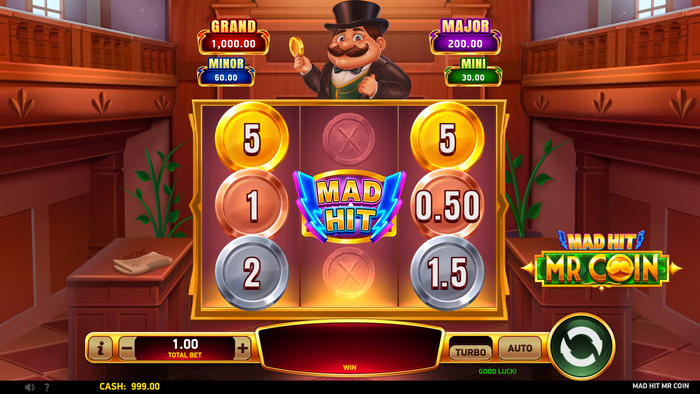 Mad Hit® Mr Coin