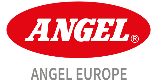 Anjo Europa