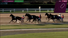 RacingHarness