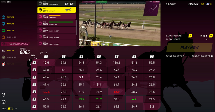 RacingHarness