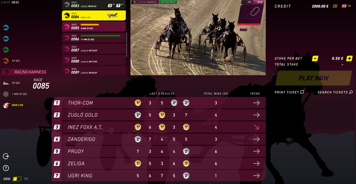 RacingHarness