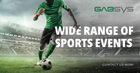 Sportsbook Software