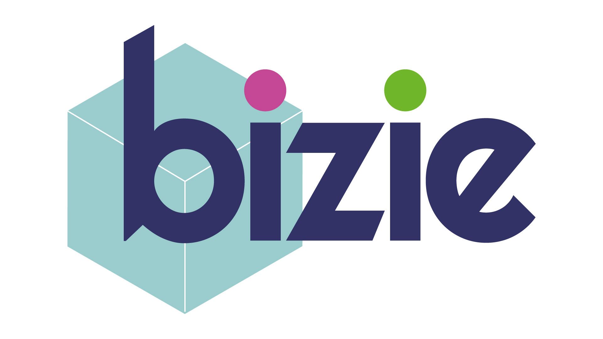 Bizie Ltd