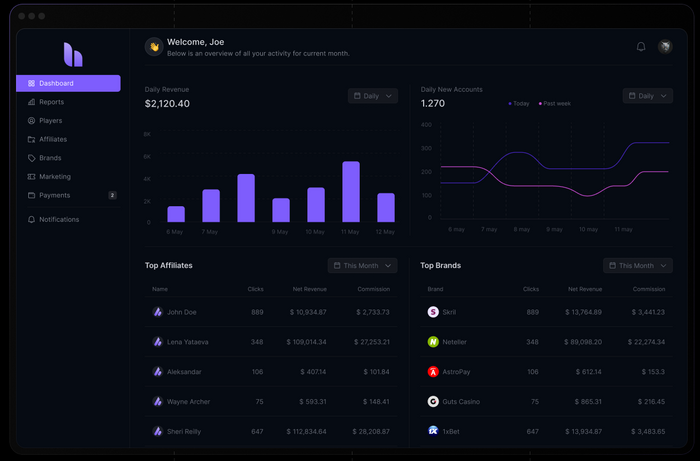 AFFILIATE NETWORK SOLUTION