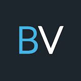 BVGroup