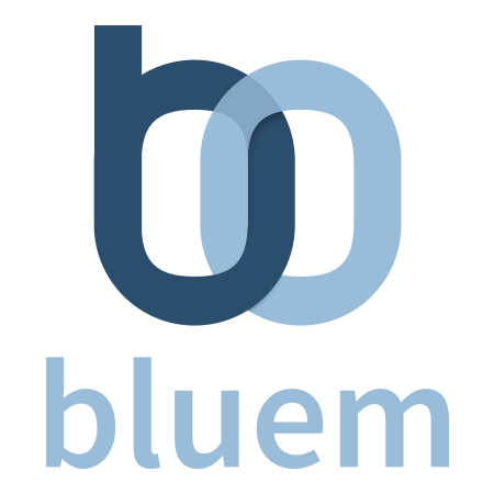 Bluem Payment & Identity