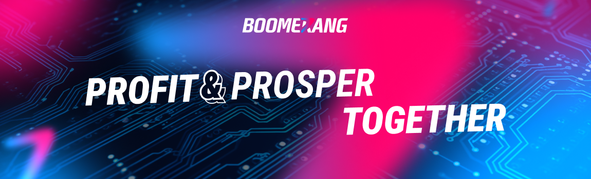 Boomerang Partners