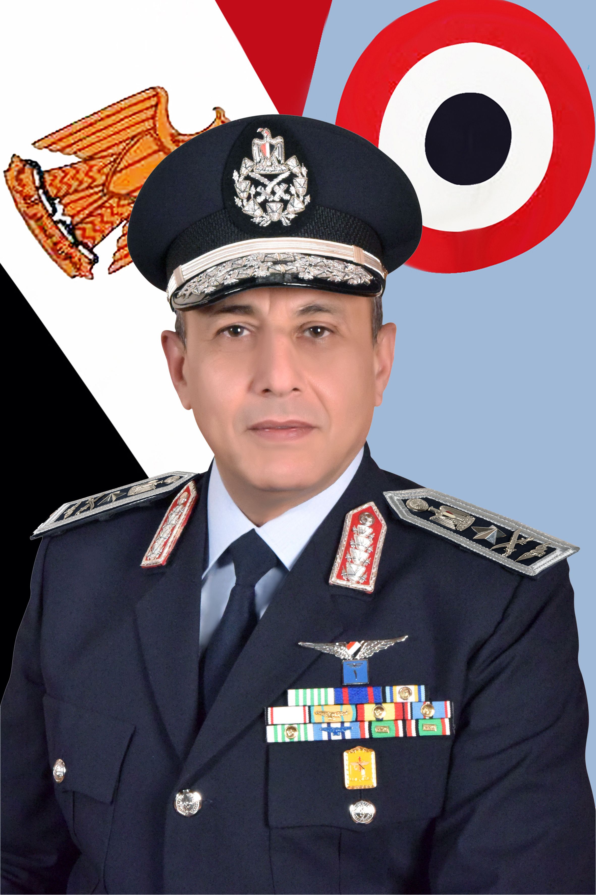 Chief of Air Force