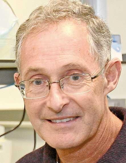 Panellist - Professor Angel Carracedo