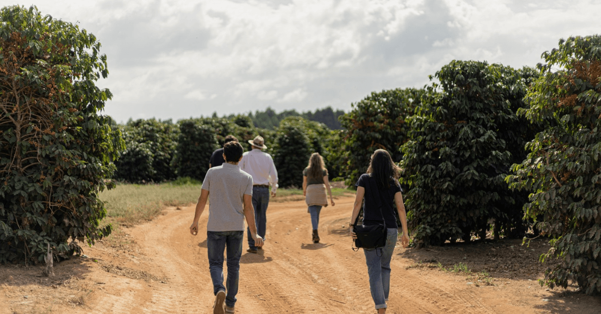 Ocafi team walking in farm