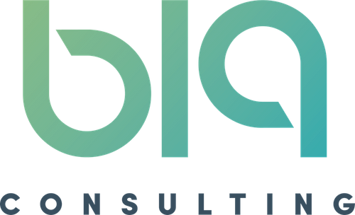 B19 Consulting