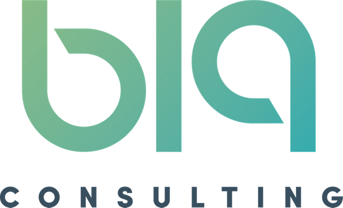 B19 Consulting