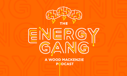 The Energy Gang