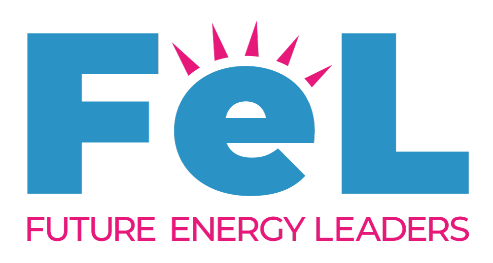 FEL logo