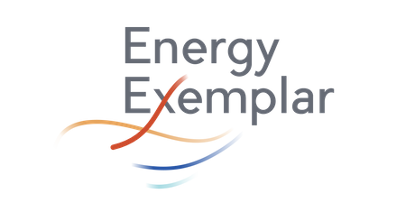 Energy Exemplar