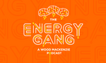 The Energy Gang