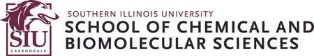 Southern Illinois University