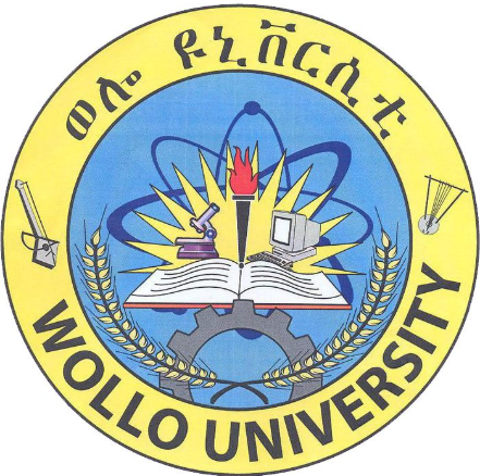 Wollo University