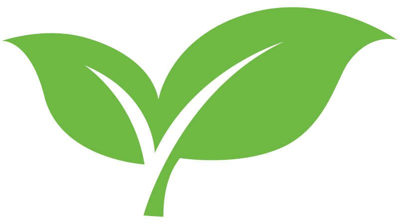 Sustainability Icon