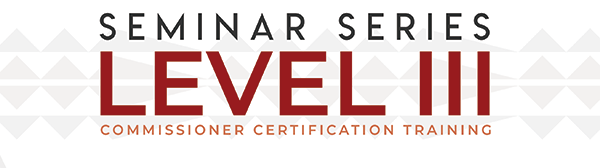 Level 3 Logo