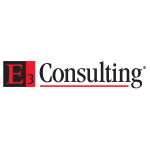 E3 Consulting Services