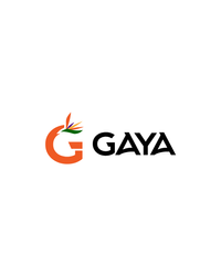 Company name - Gaya.ai