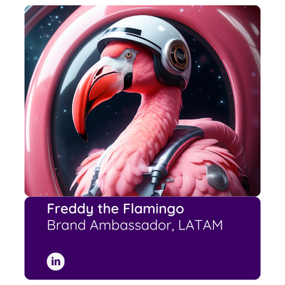 Freddy the Flamingo