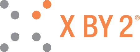 X by 2