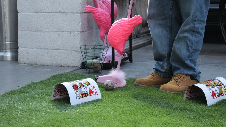 flamingo Croquet